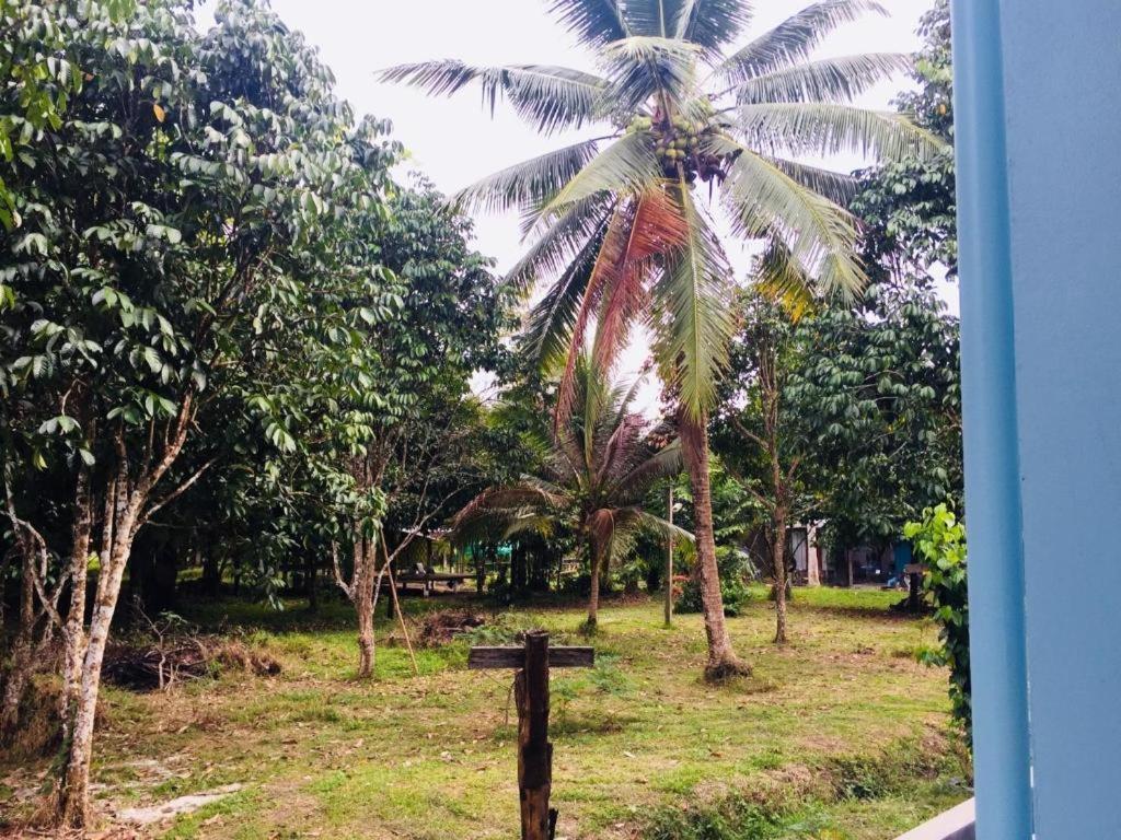 Baan Kalaya Garden Appartement Ban Mai Buitenkant foto